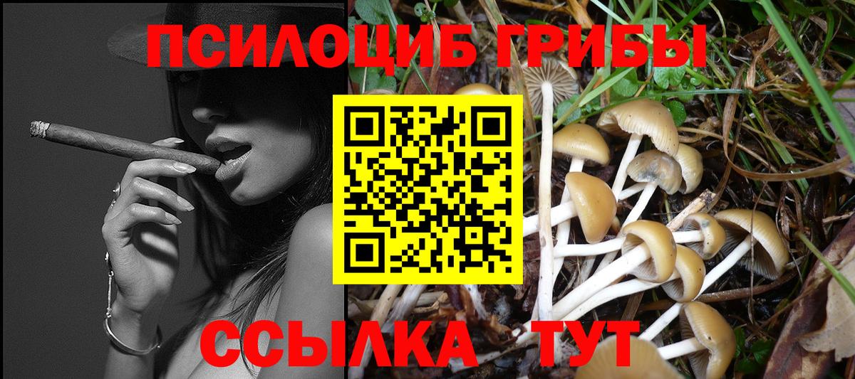 Галлюциногенные грибы Psilocybe Саранск