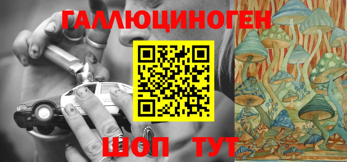 Псилоцибиновые грибы Magic Shrooms  Вход с VPN  цены   Саранск  Псилоцибиновые грибы мицелий 